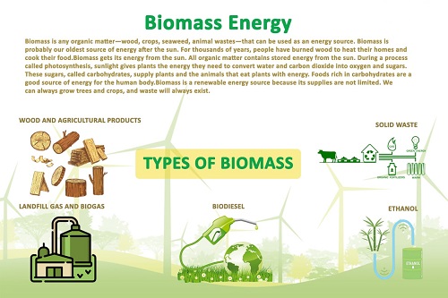 Biomass Energy